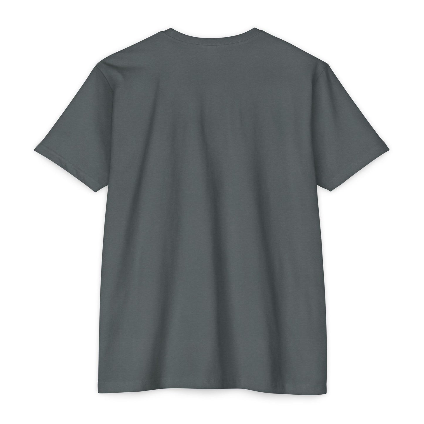 Stylish Wolf Graphic T-Shirt, Cool Animal Shirt, Gift for Nature Lovers, Casual Wear, Unique Tee